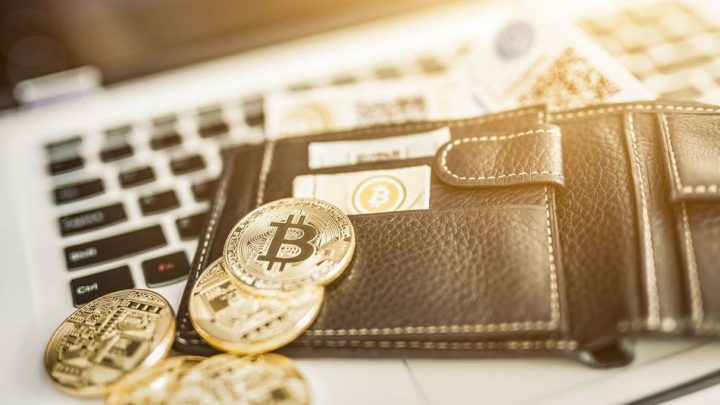 investește în bitcoin noua zeelandă